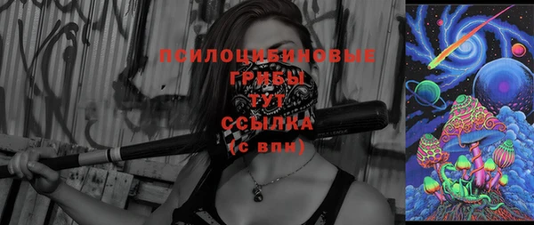прущий лед Ладушкин