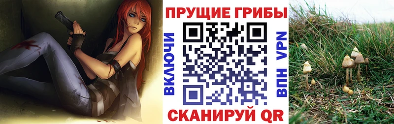 Псилоцибиновые грибы MAGIC MUSHROOMS  Опочка 